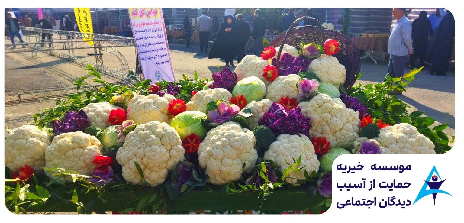 سرای احسان در بزرگترین جشنواره برداشت گل کلم کهریزک